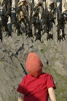 Little Boy is looking at Stockfish