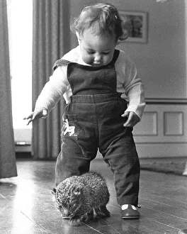 Little boy playing with baby predator