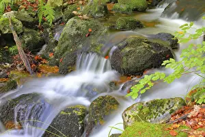 Little brook in the forest, long exposure