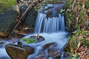Little brook in the forest, long exposure