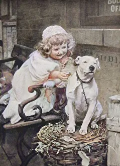Little Girl Gives a Biscuit to the House Dog
