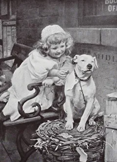 Little girl gives the domestic dog a biscuit