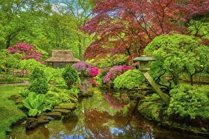 Little Japanese garden after rain