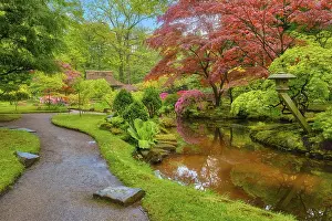 Little Japanese garden after rain