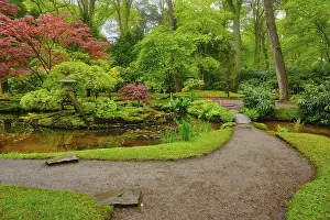 Little Japanese garden after rain