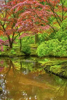 Little Japanese garden after rain