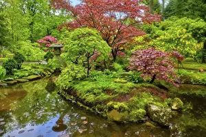 Little Japanese garden after rain
