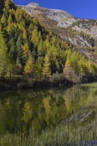 Little pond of the Malta river with a mountain forest in fall foliage on a bright sunny morning