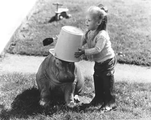 Little river horse and girl, England
