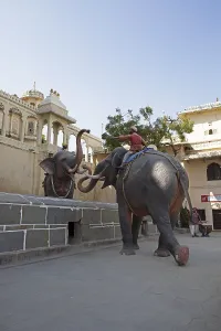 Living elephant sculptures in the City Palace