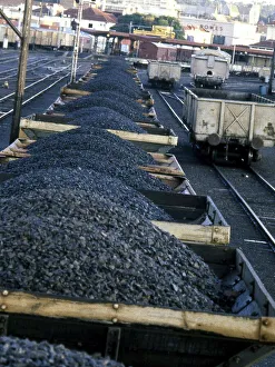 Loaded coal wagons in railway yard