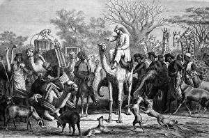 Loading and departure of an African wildlife expedition