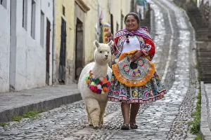 Local woman in traditional costume with a decorated Alpaca (Vicugna pacos)