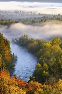 Loisach estuary into the Isar, Pupplinger Au at sunrise