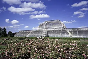 London, Kew Gardens, Palm house, 1841 and 1849