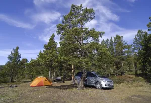 Lone car and orange tent at a campsite