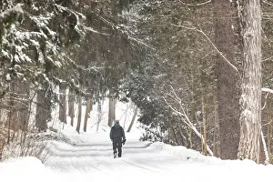 A lone person walks along a snowy path in a dense