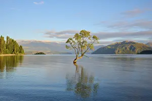 A lone tree in the water under a clear morning sky and surrounding mountains