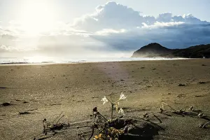 Lonely beach, Spiaggia Feraxi, sunrise