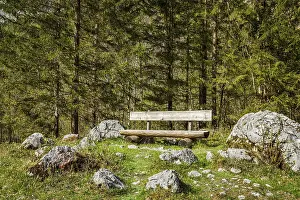 Lonely bench in forest, Germany, Europe