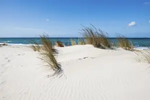 Lonely white sandy beach with dunes