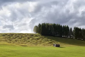 Lonely wooden hut on alpine meadows