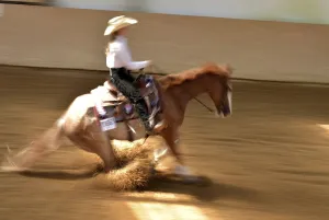 Long exposure of a lesson (manoeuvre) in the discipline of reining (western dressage) at a western show