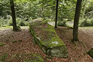 Long stones near Riedenburg, Rhoen