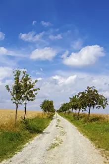 The long way to heaven field path