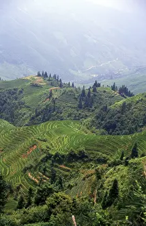 Longji (Dragon's Backbone)
