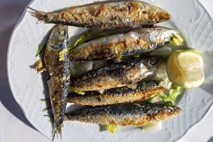 Looking down from overhead on white plate of freshly grilled sardines