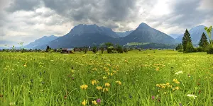 Category Mountain Landscapes Prints: Loretto meadows near Oberstdorf