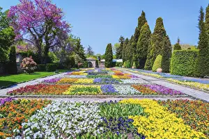 Lot of Different Kinds of Flowers in the Garden Balchik