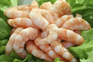 Lots of raw prawns on lettuce leaves on a plate