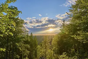 Low mountain landscape, deciduous forest
