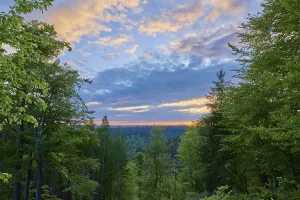 Low mountain landscape, deciduous forest