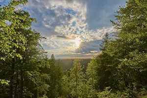 Low mountain landscape, deciduous forest