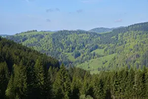 Low mountain landscape, mixed forest