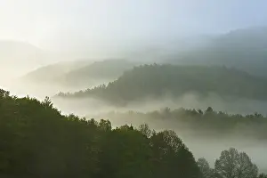 Low mountain range landscape, hilly landscape with forests in fog