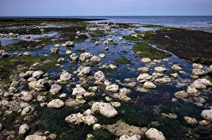 Low tide, seaweed, stones, rocks
