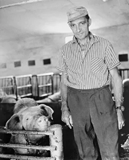 LPG farmer in a pig facility, East Germany