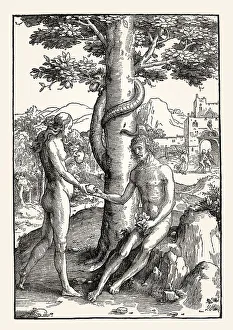 Lucas von Leyden, The Fall from Grace