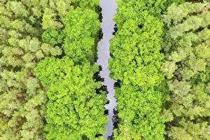 Ludwig-Danube-Main Canal in the forest from above