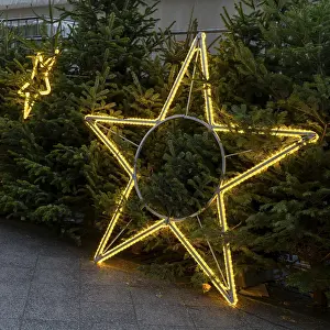 Luminous stars in front of Christmas trees