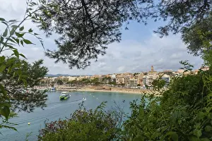 Lush vegetation framing the bay of puerto cristo with its sandy beach
