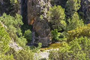 Lush vegetation surrounds canaletes river