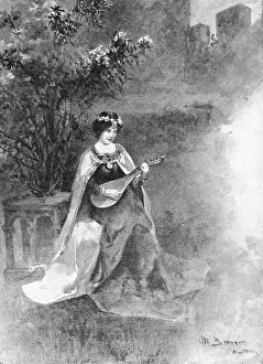 Lute player outside the cabinet