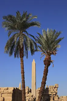 Luxor, Karnak Temple, obelisk in the temple complex in Karnak