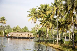 Luxury houseboat and coconut trees in Backwaters