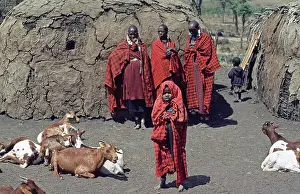 Maasai woman, children and goats in their village in the Ngorongoro Crater